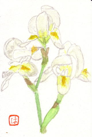 �W���[�}���A�C���X