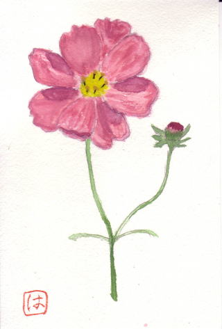 �R�X���X�Ɍ�����H