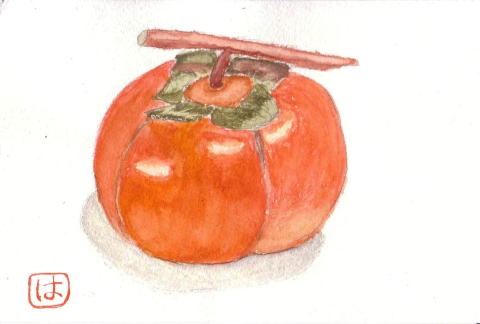 ��Ƃ̔��������`��`��