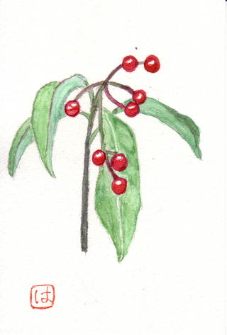 �F�B���璸����������`��