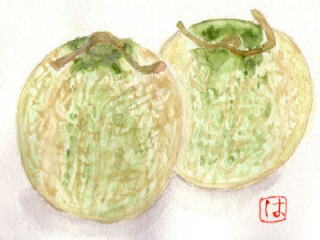 �������Ɍ�����H