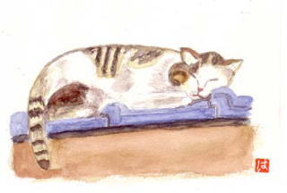 �����Q���̔L