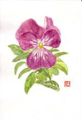 �䂪�Ƃ̒�ɍ炢���ŏ��̃p���W�[���