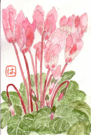 �V�N������