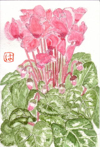 �V�N������