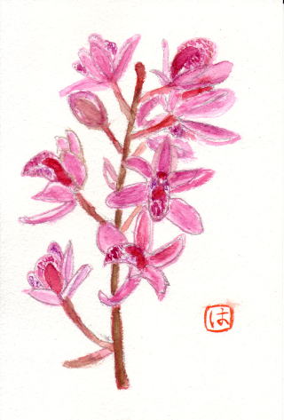 �V���r�W���[��