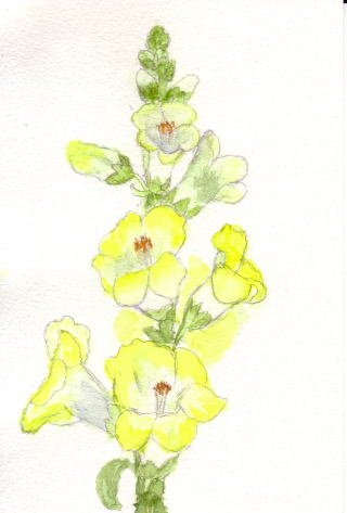 �X�g�b�N�E�n�K�L2���g����