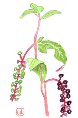 ���}�S�{�E